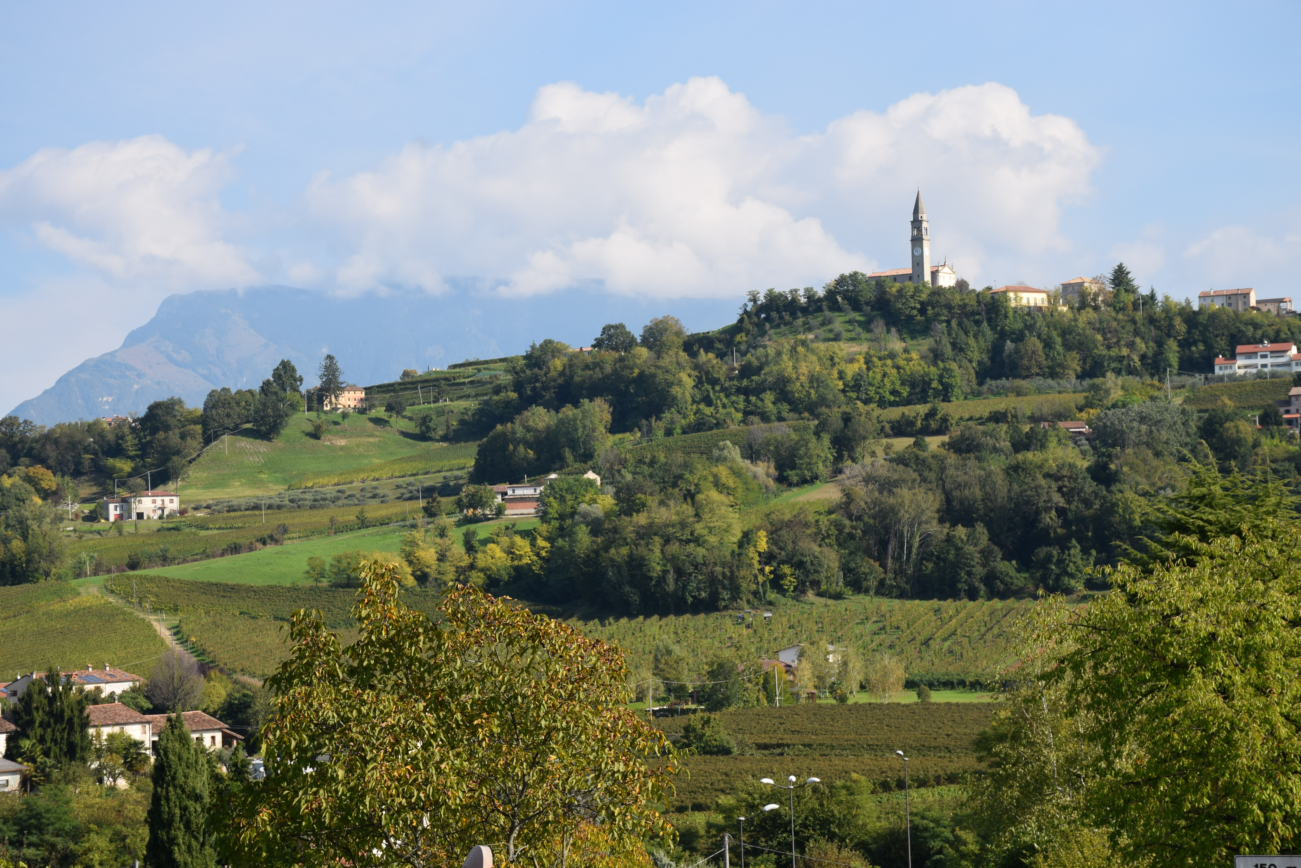 Prosecco Wine Tour