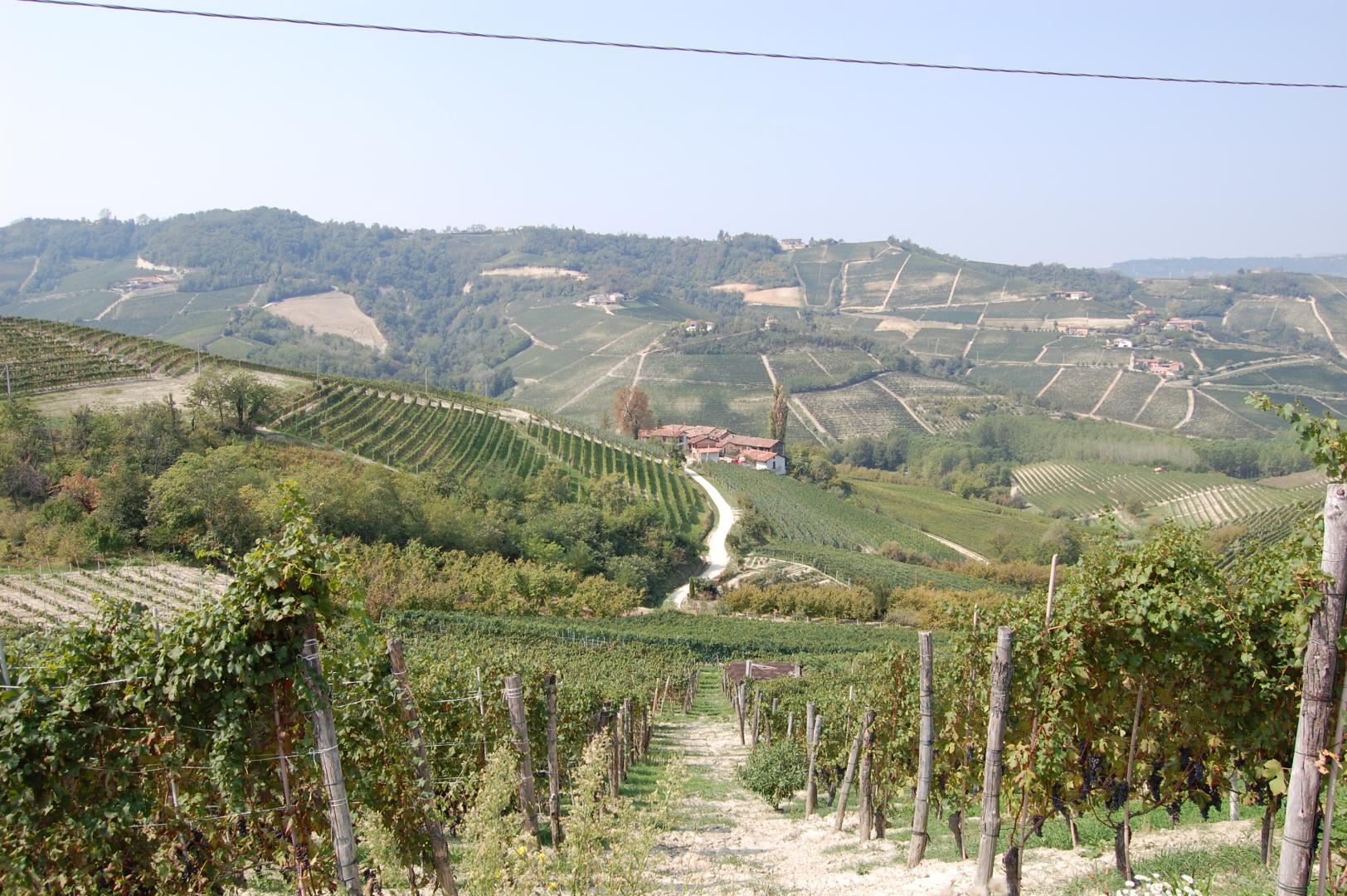 Piemonte - Langhe