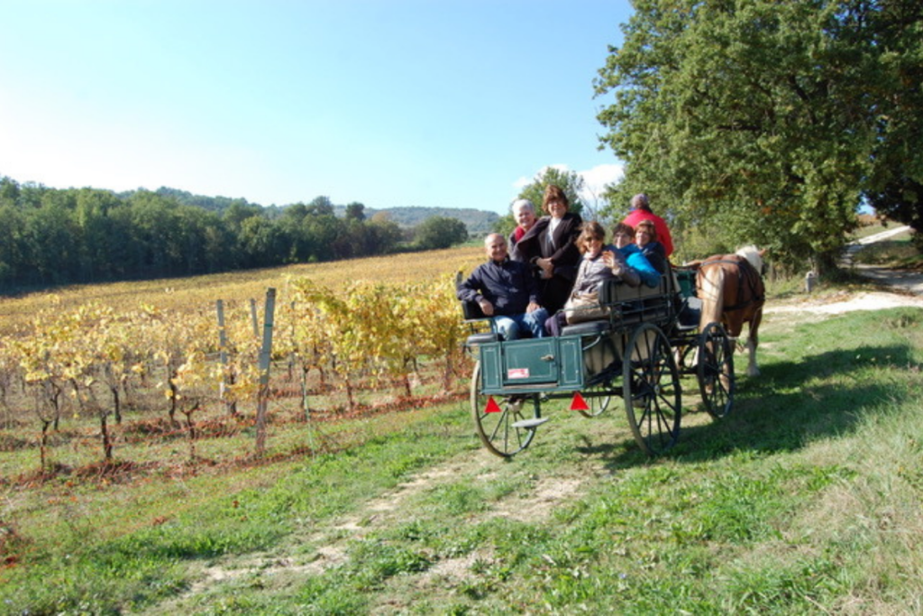 Umbria Olive Oil Tour