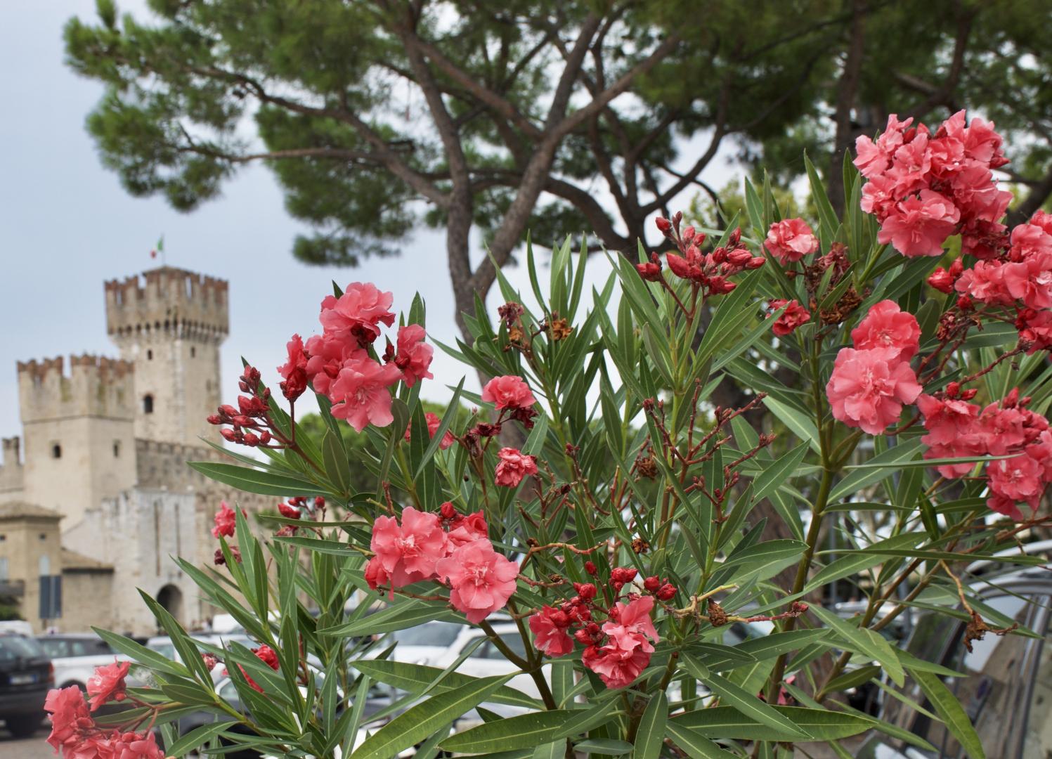Verona - Garda Lake