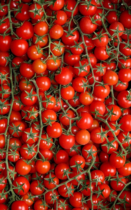 Puglia Deluxe Food & Wine Tour