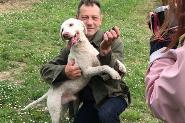 Experience Truffle - Emilia Romagna Fall &amp; Winter Tour