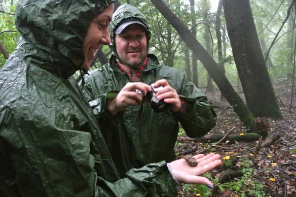 Experience Truffle - Emilia Romagna Fall &amp; Winter Tour