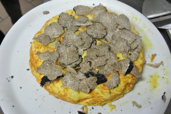 Tartufo-9-2013.jpg Experience Truffle - Emilia Romagna Fall & Winter Tour