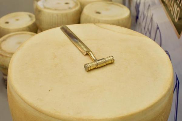 ER- Parmigiano Reggiano cheese
