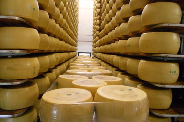 Parmigiano Reggiano