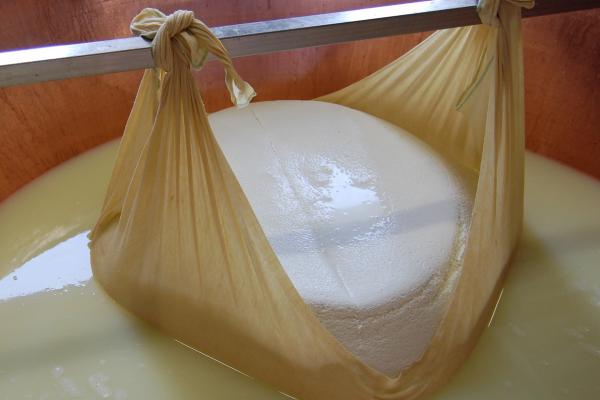 Parmigiano Reggiano cheese