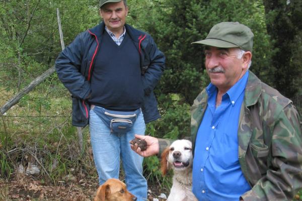 Umbria Olive Oil Tour