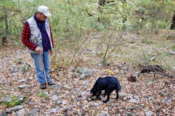 Umbria Olive Oil Tour
