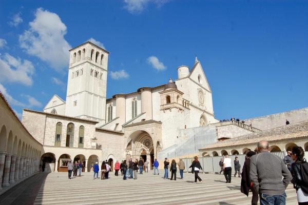 Umbria Olive Oil Tour
