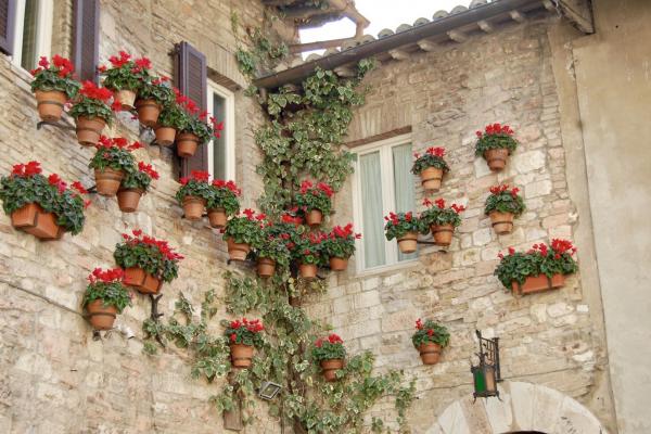 Umbria Olive Oil Tour