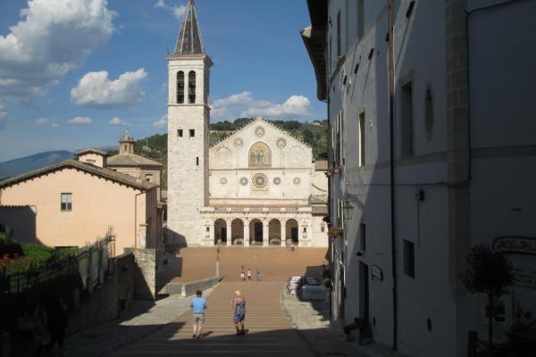 Umbria Olive Oil Tour