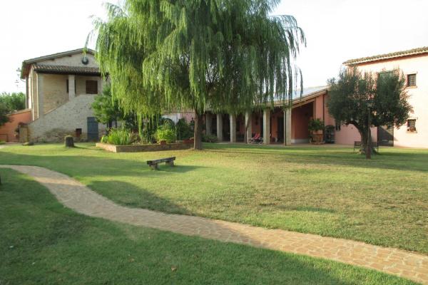 Umbria Olive Oil Tour