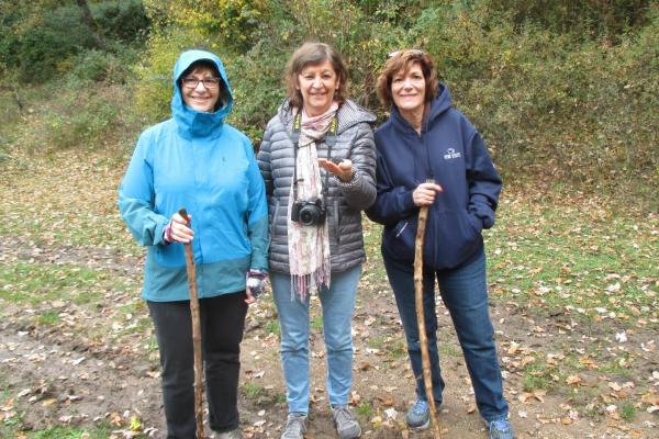 Umbria Olive Oil Tour