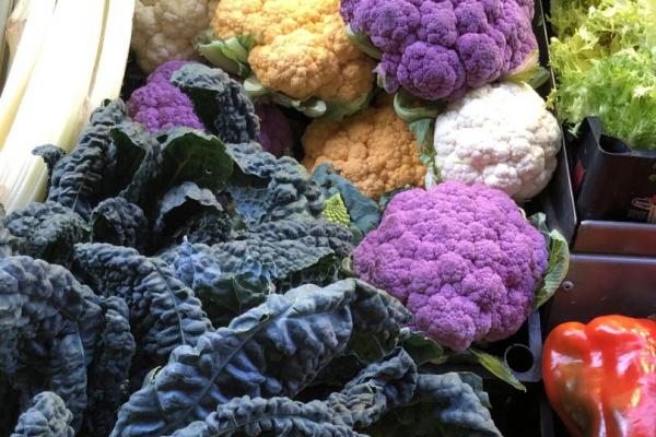 Bologna - Food market