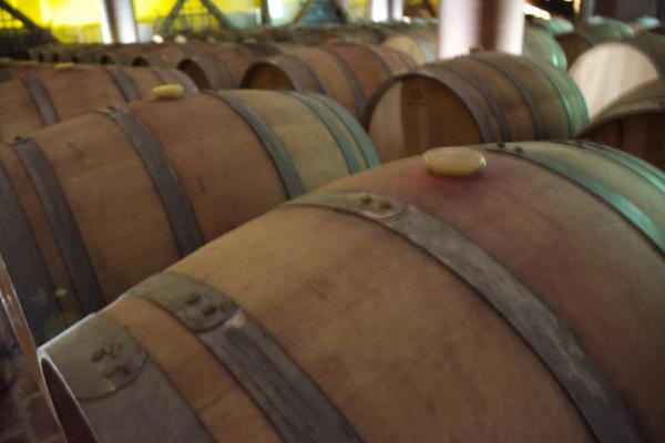 Friuli Venezia Giulia Deluxe Wine Tour