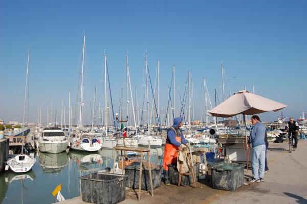 le-marche-2007-10-18 08.19.29.jpg Le Marche - fish market