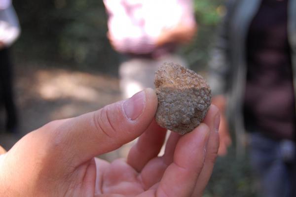 piemonte-51-2008.jpg Piedmont Wine Tour