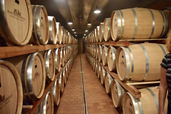 piemonte-71-2017.jpg Piedmont Wine Tour