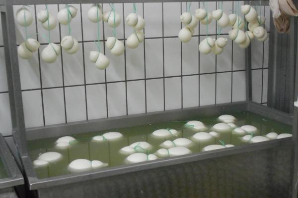 Puglia Deluxe Food &amp; Wine Tour