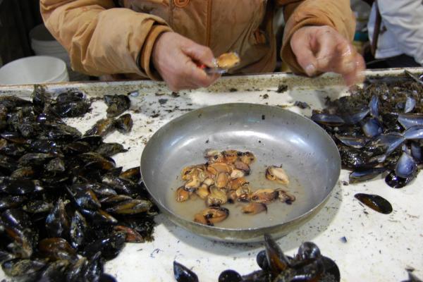 Puglia Deluxe Food &amp; Wine Tour