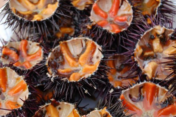 Puglia Deluxe Food &amp; Wine Tour