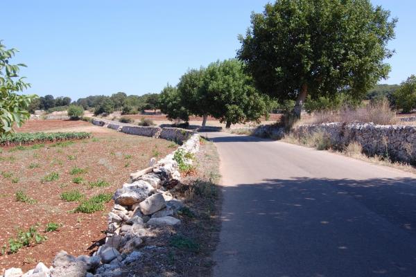 Puglia Deluxe Food &amp; Wine Tour