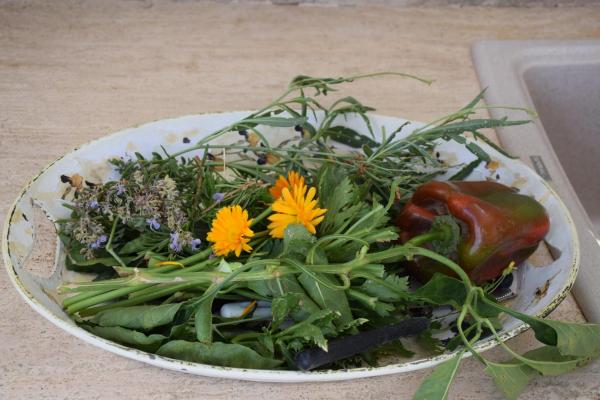 Puglia Deluxe Food &amp; Wine Tour