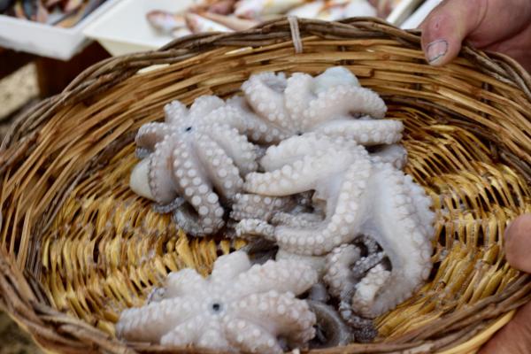 puglia-fish market