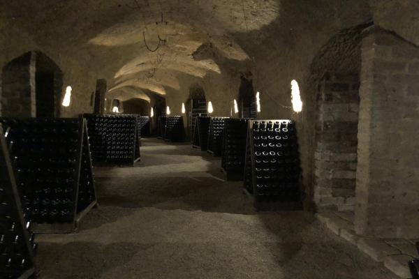 Umbria - Winery in a cave